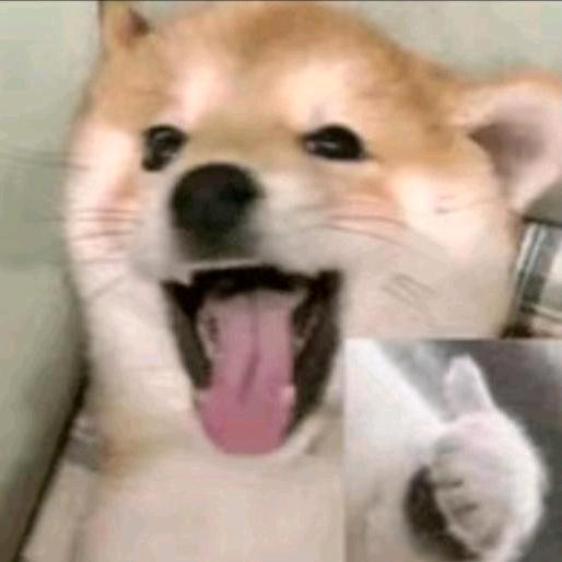 淋潦