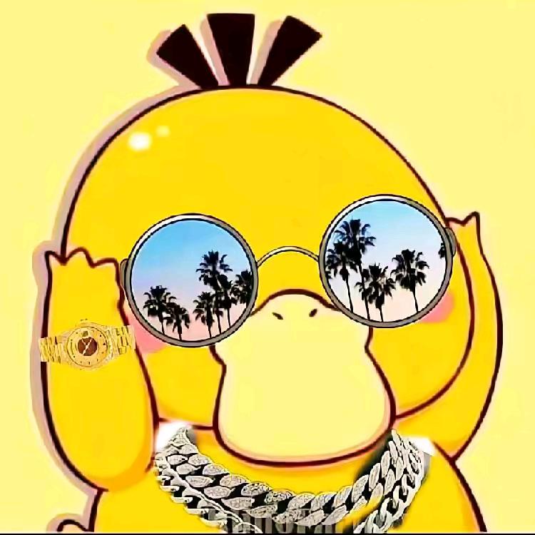 两天半