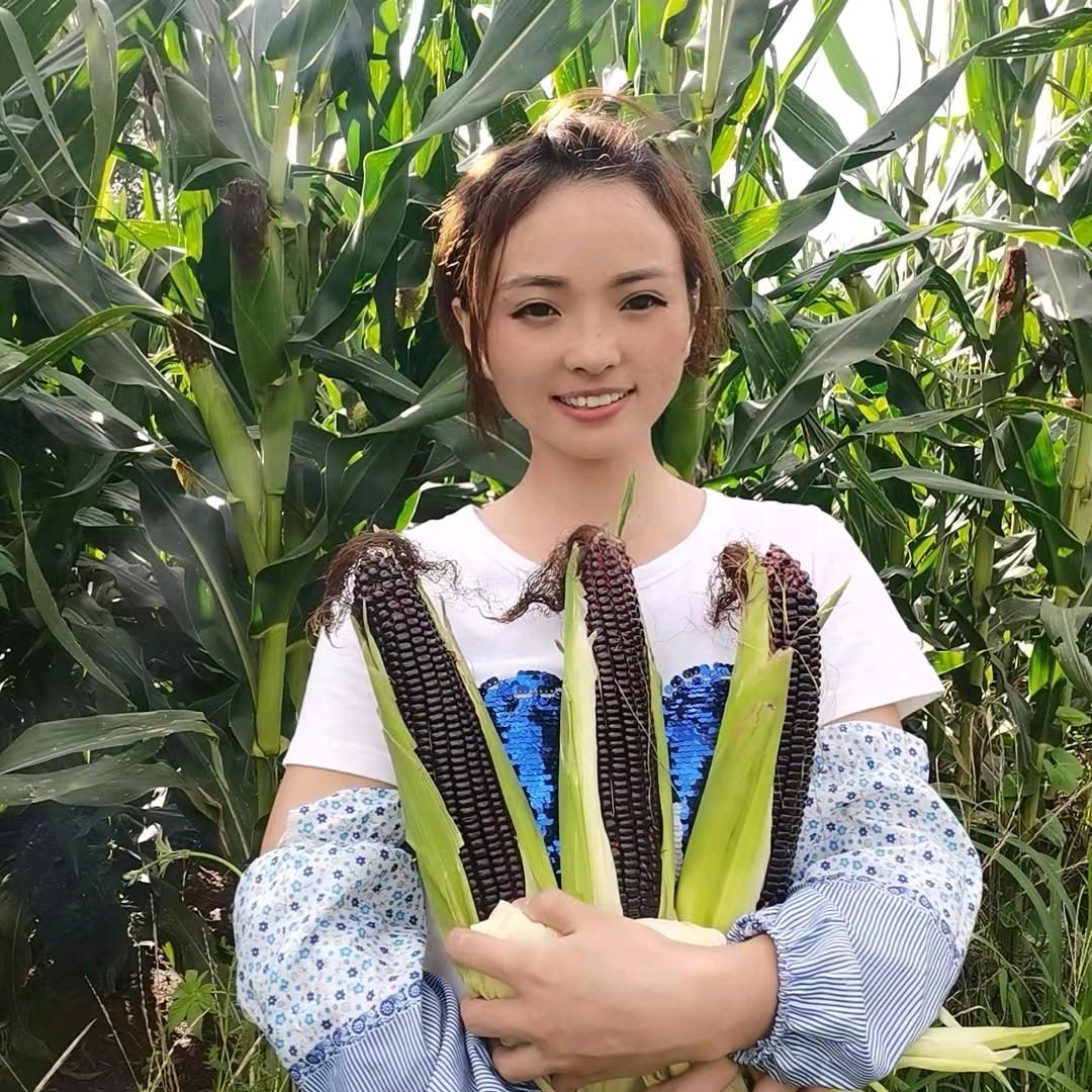 月亮岛寒地黑土糯玉米企业店