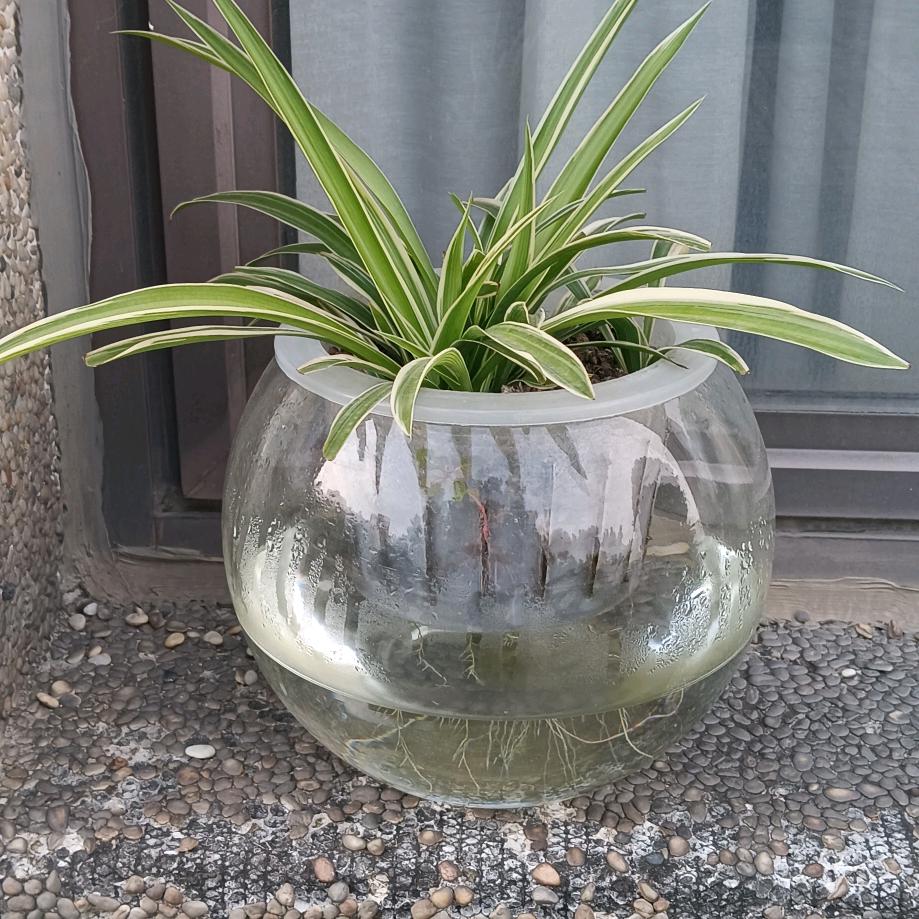 谁在乎我？