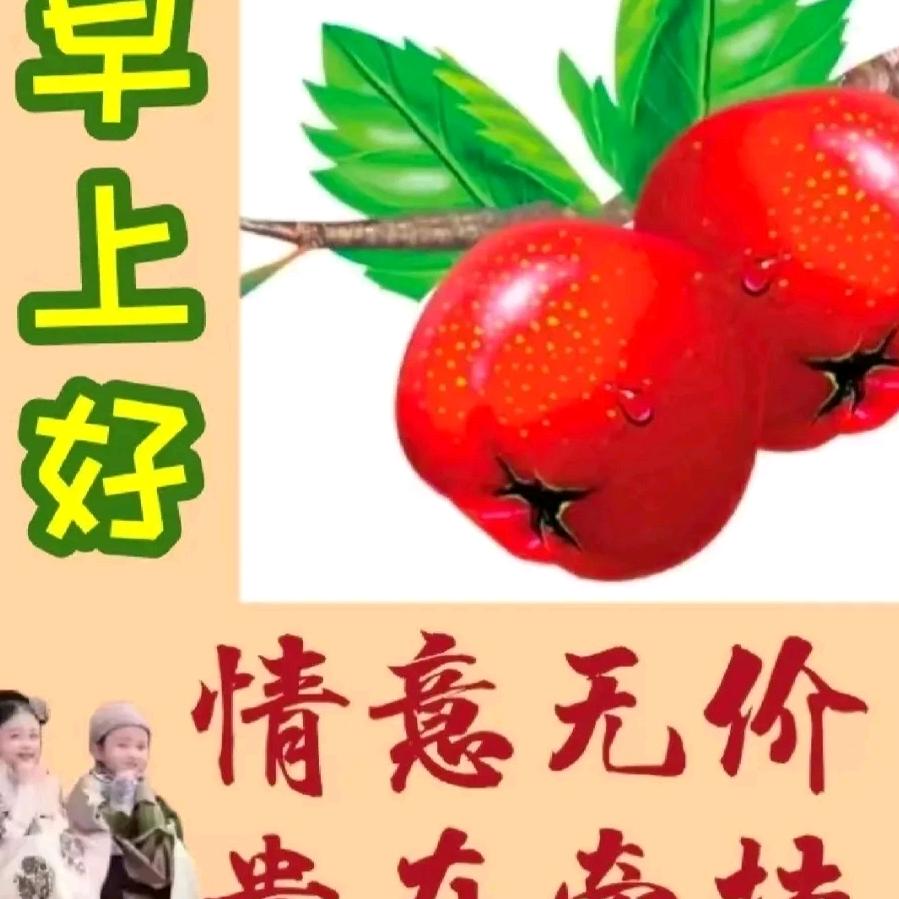 黯然人不留