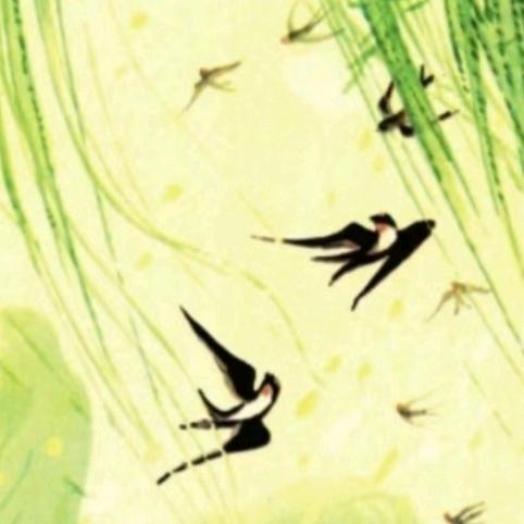 林一林