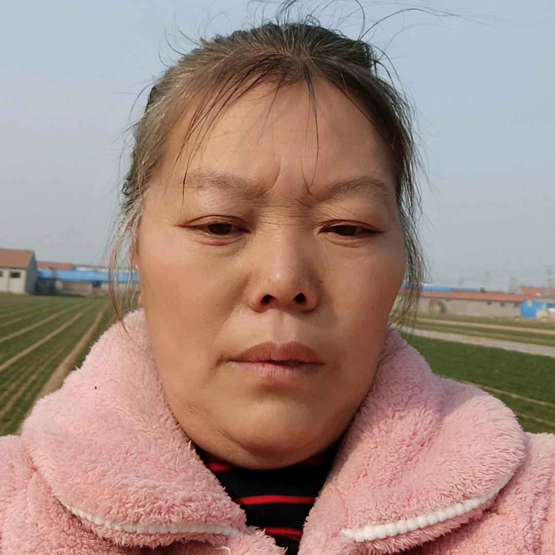 雪飞，