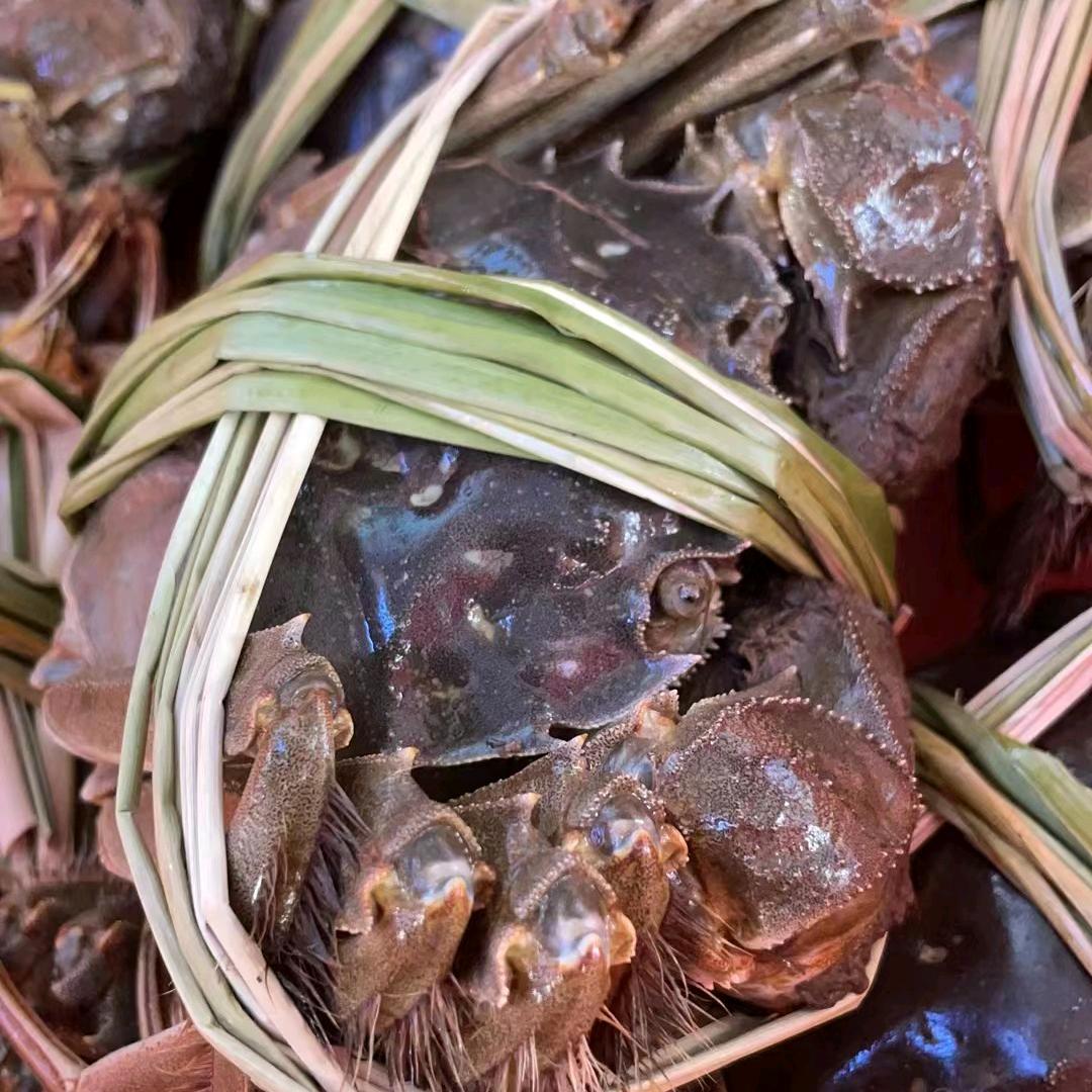 兴化红膏大闸蟹 小龙虾
