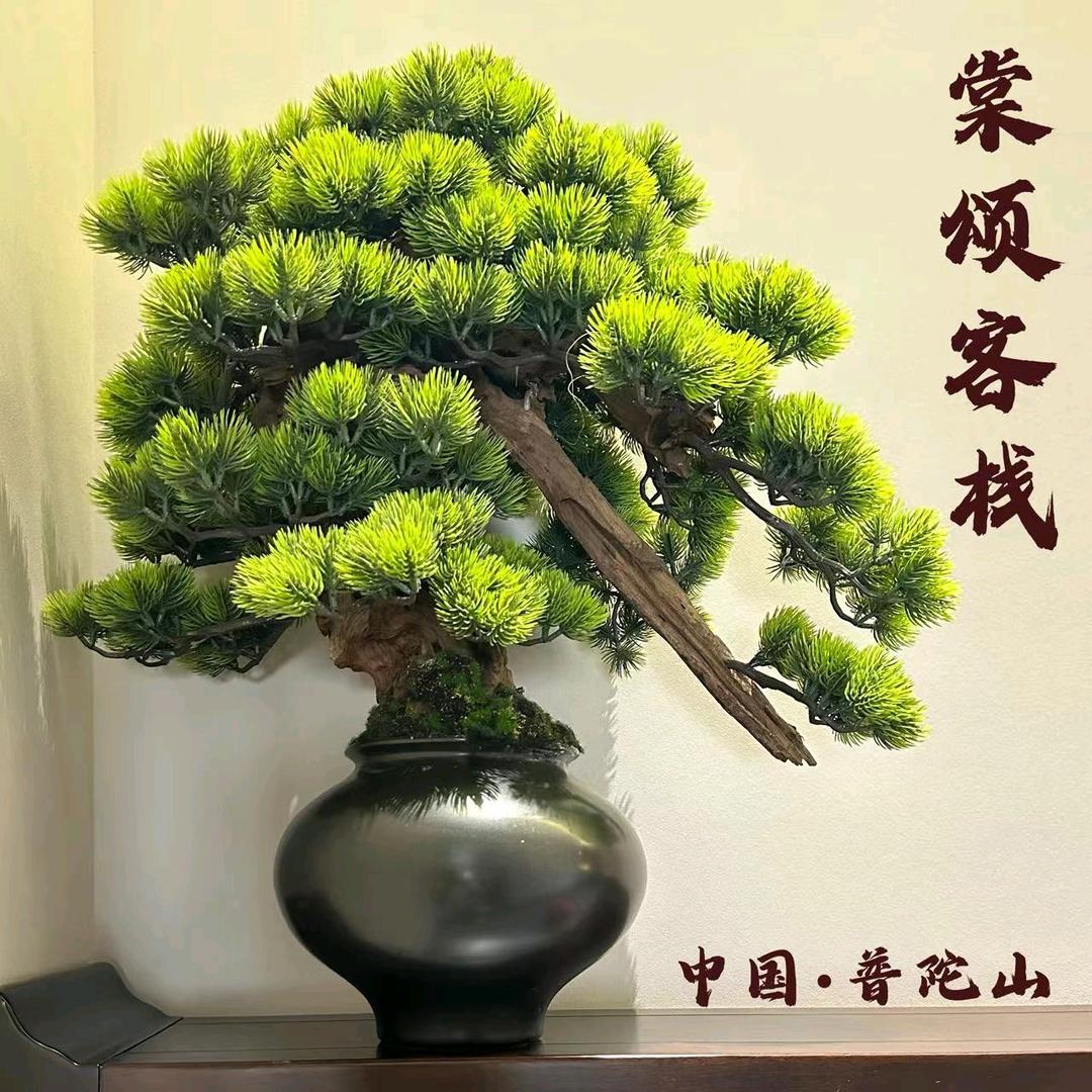 普陀山小柴夏花依旧客栈