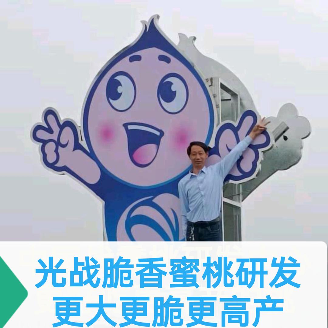 光战脆香蜜桃研发