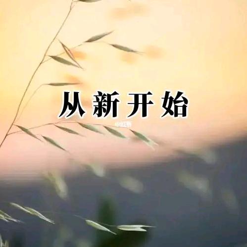 从心开始
