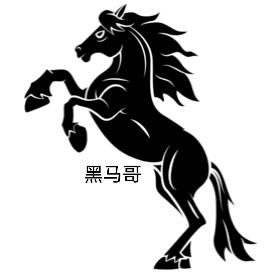 黑马哥