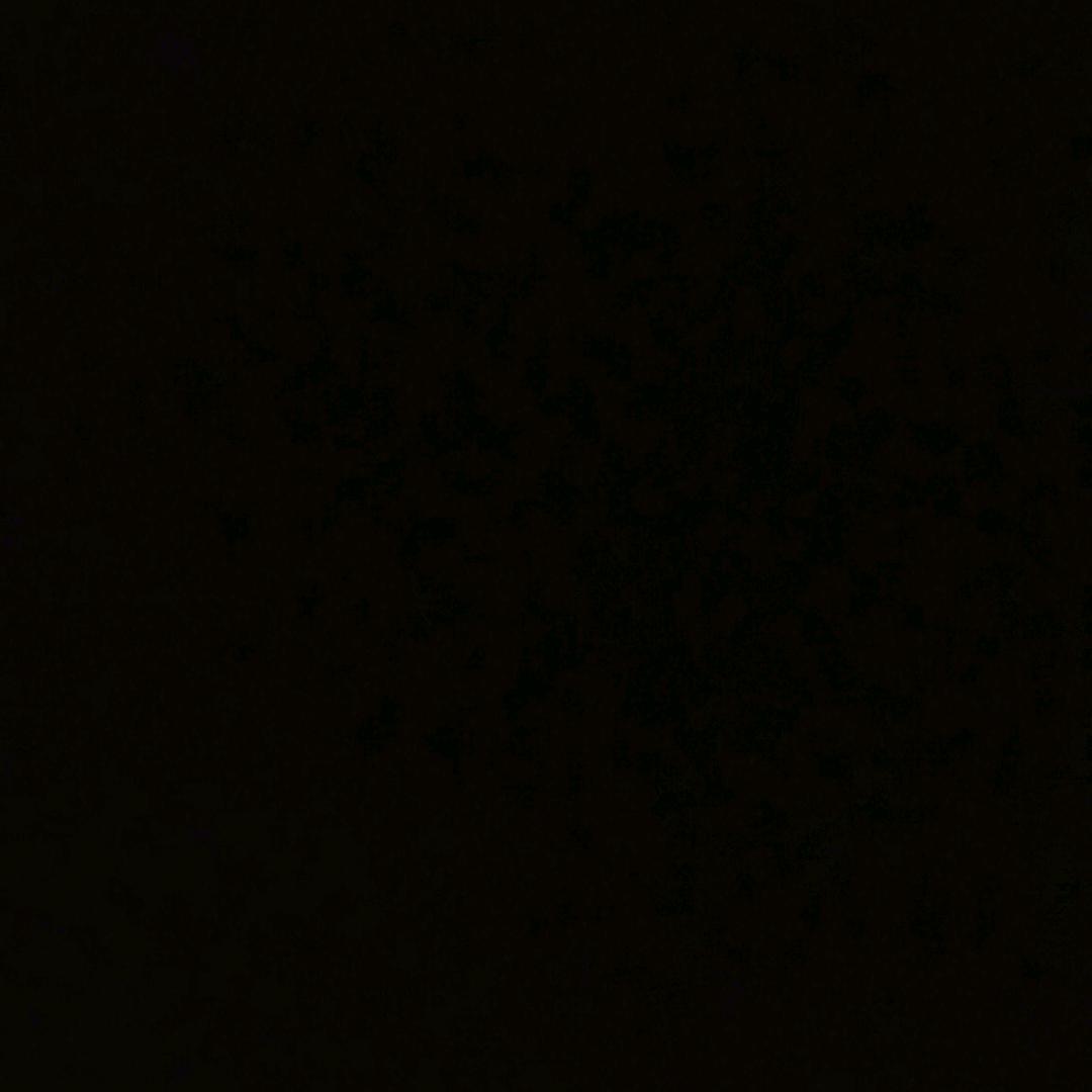 美好的爱情