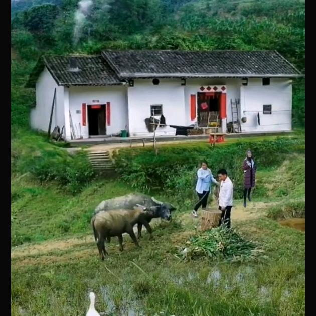 牛哥正能量