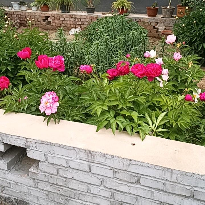 天高海阔