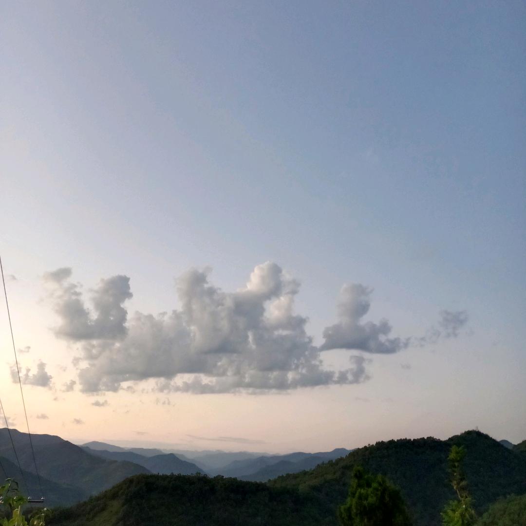 @涛哥