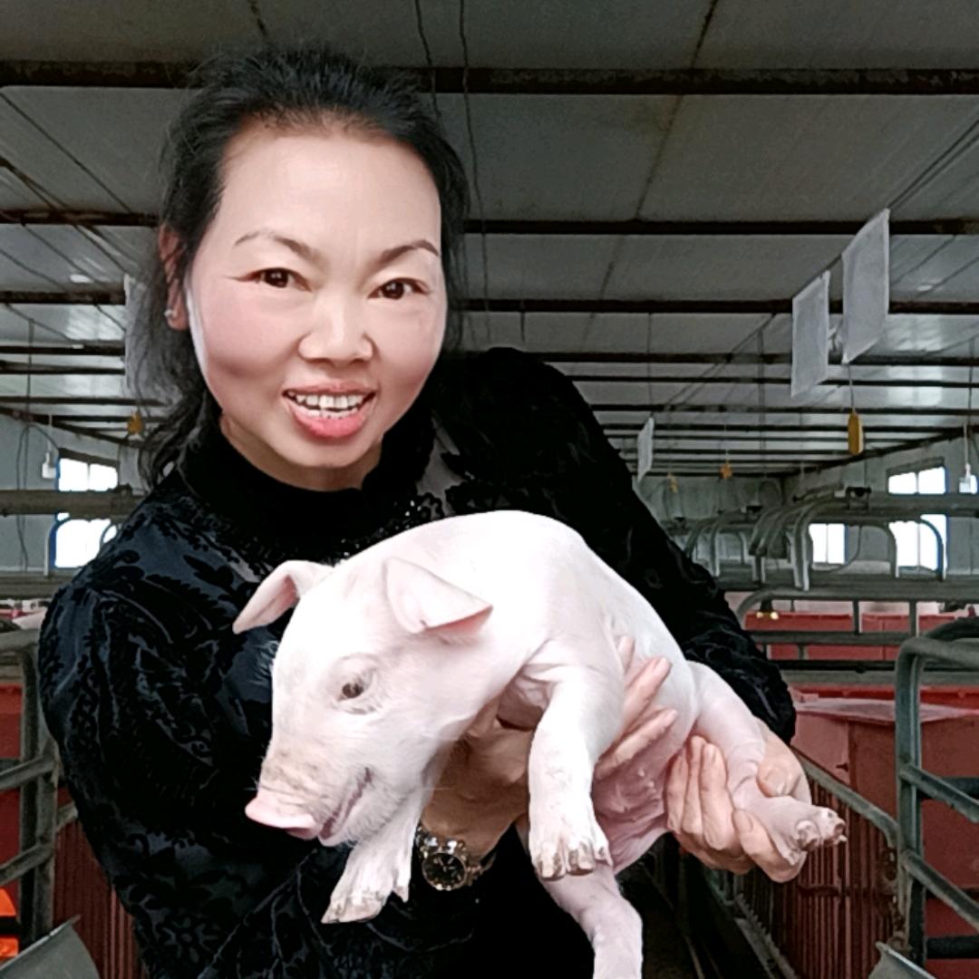 谢大姐聊养猪技巧．分享养殖技术。