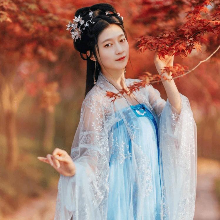 网络追风