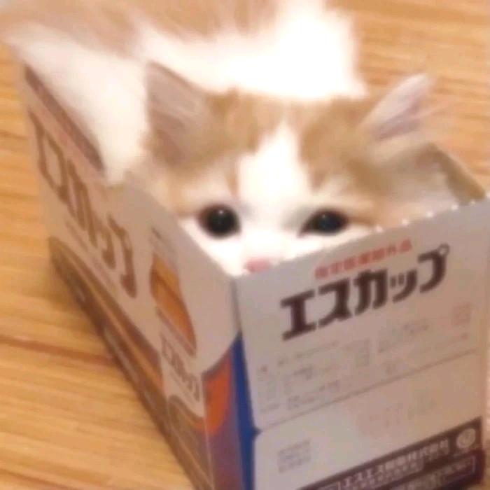 仟波商行