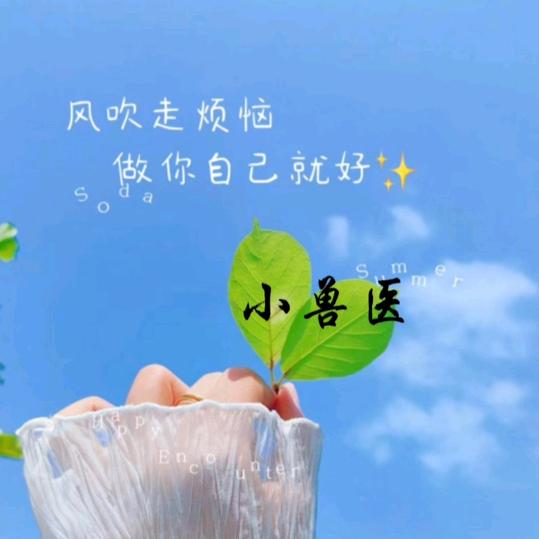 夏天🌻