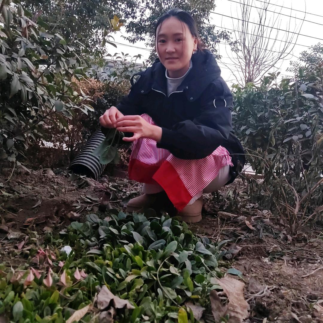 梦云要自强
