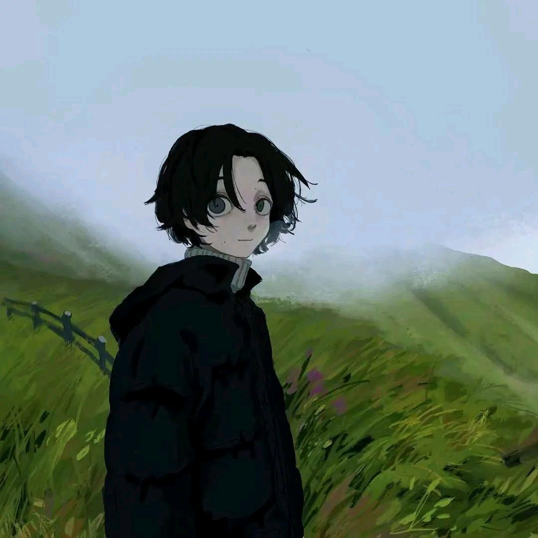 答案藏于风中