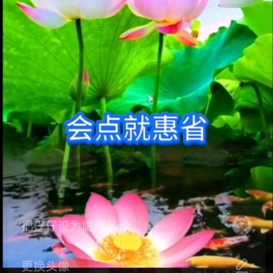 会点就惠省