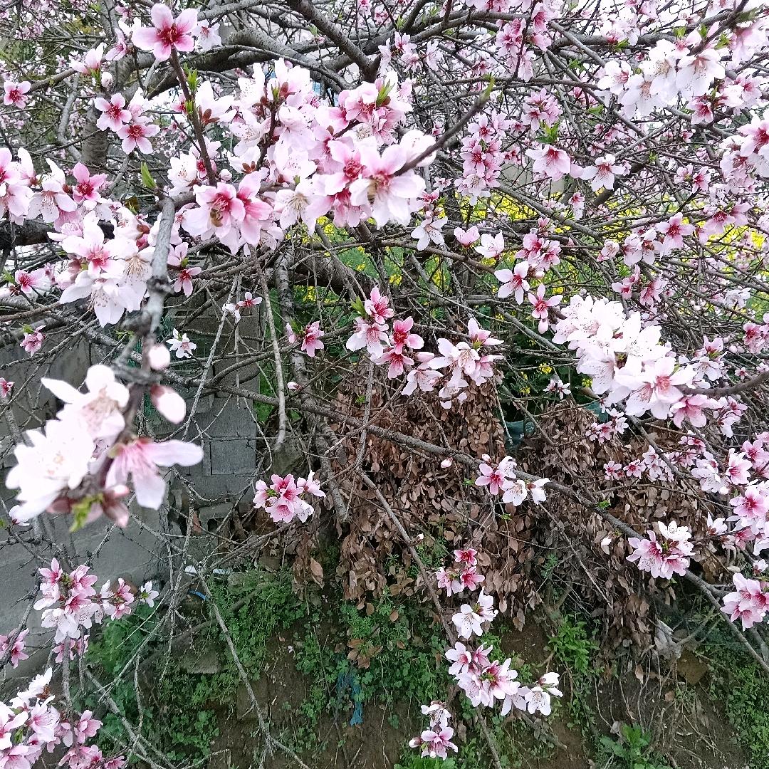 兰桂水湾
