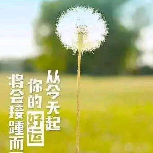 赢在心态