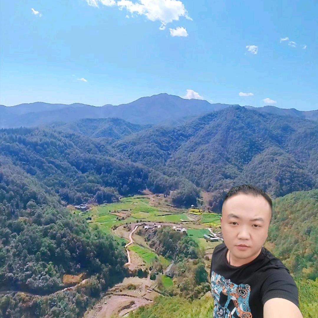 W楚星⭐