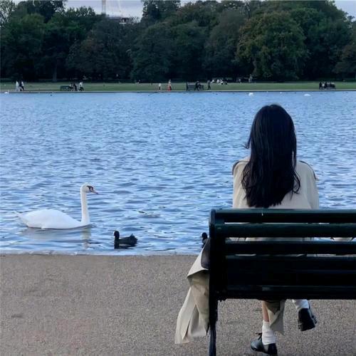 凤