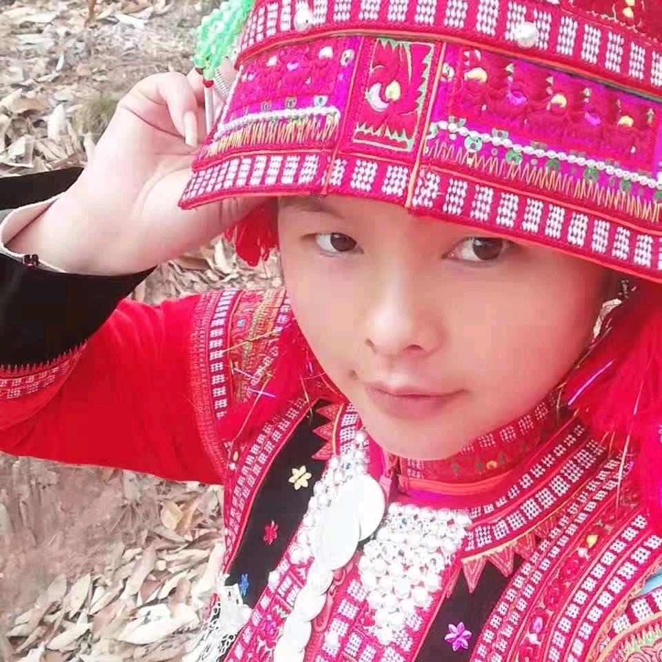 谈情不如遛狗
