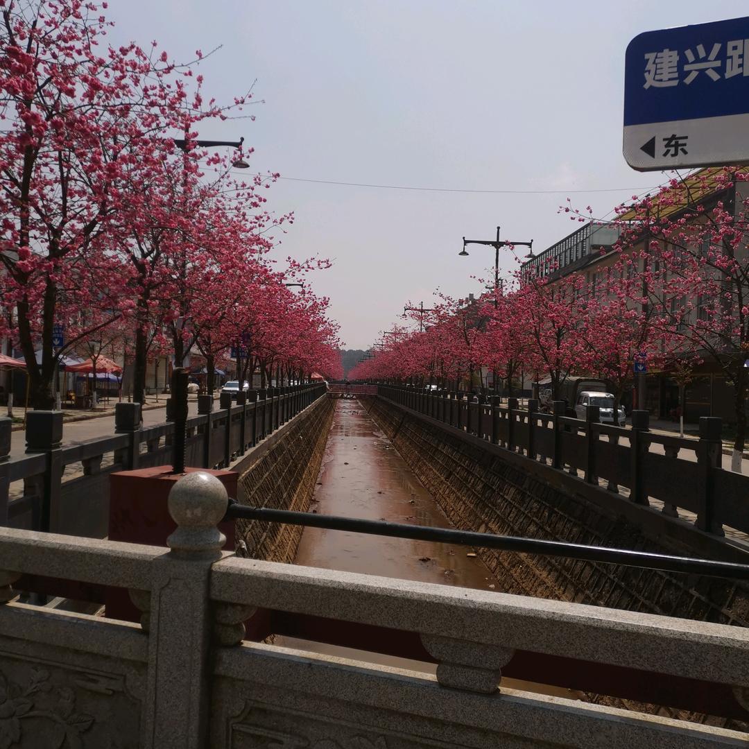 萍水（相逢）