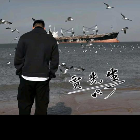 @贾先森