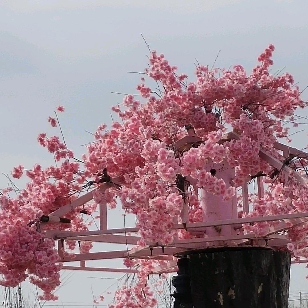 宰相肚量