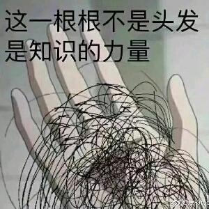 兔子警官