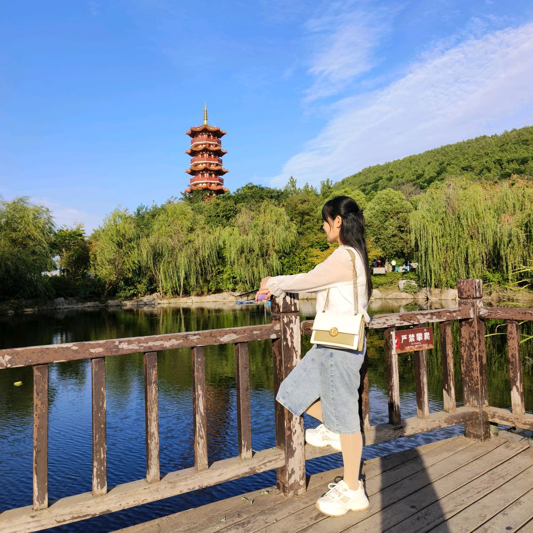 ✨岁月🌷静好✨