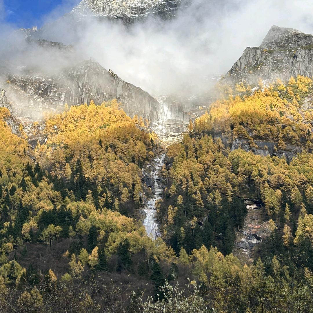 驸马