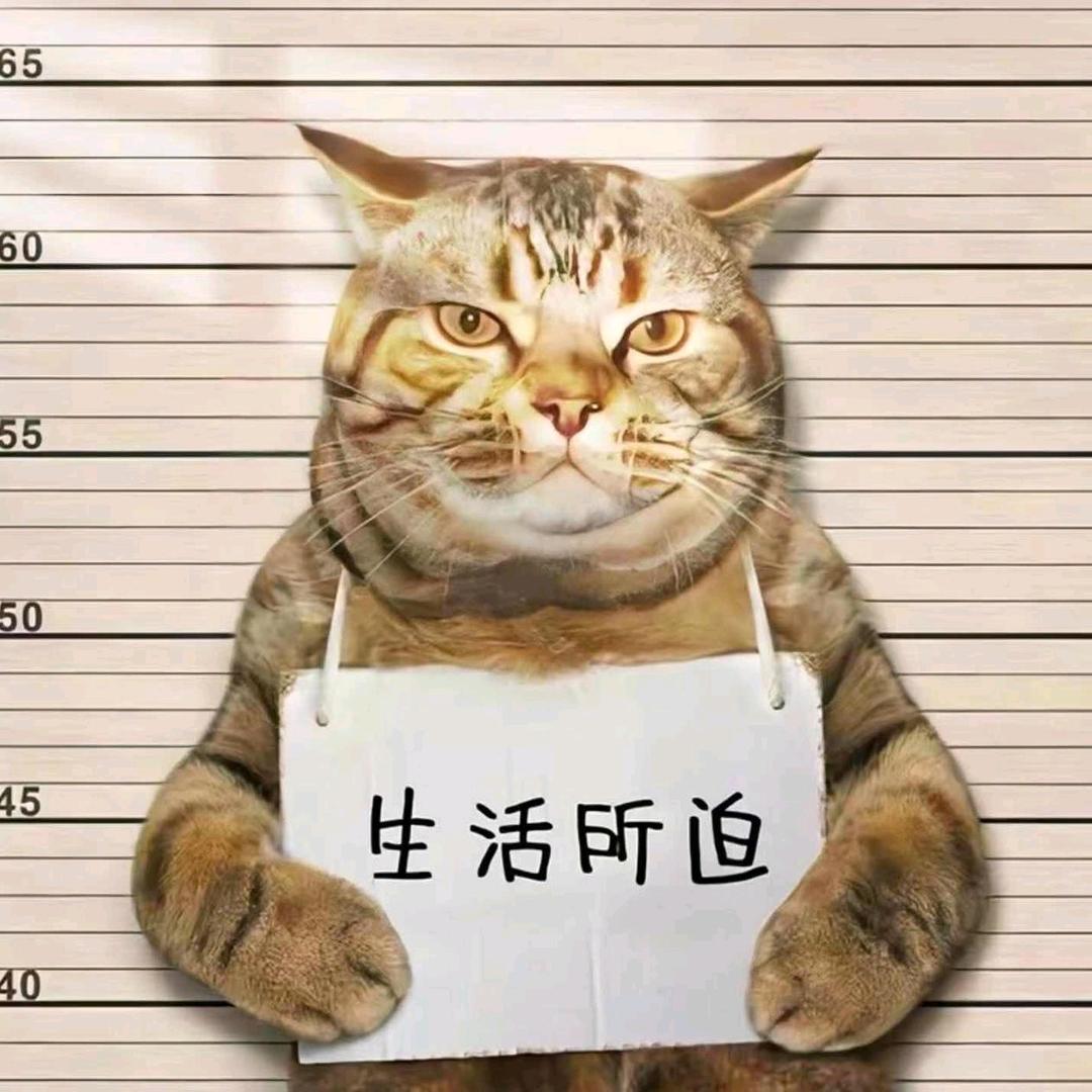 栀夏微凉