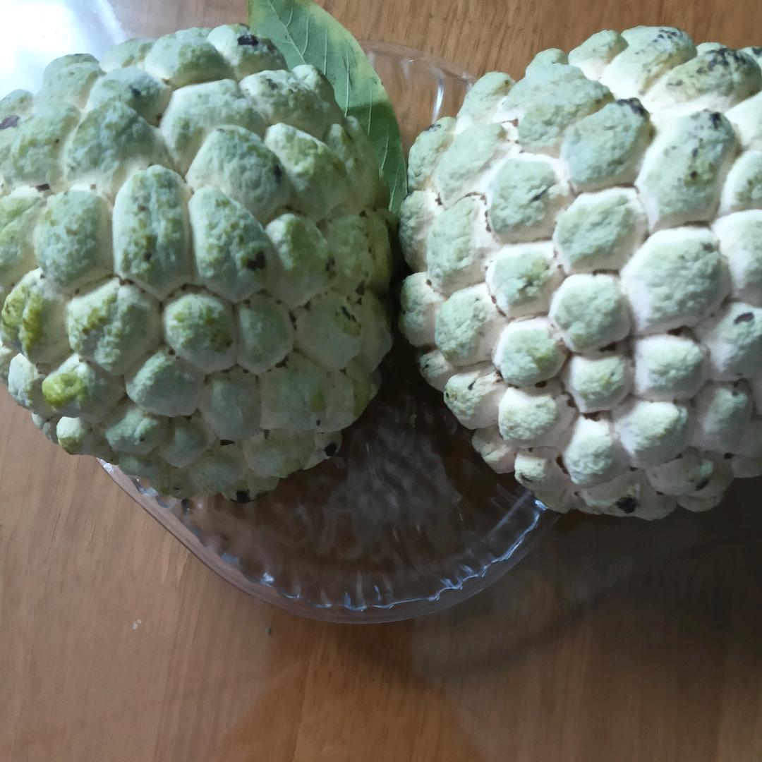 珊珊来财