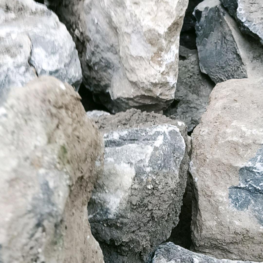 张少标
