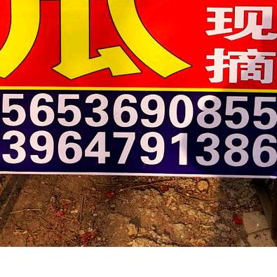 杨玉明