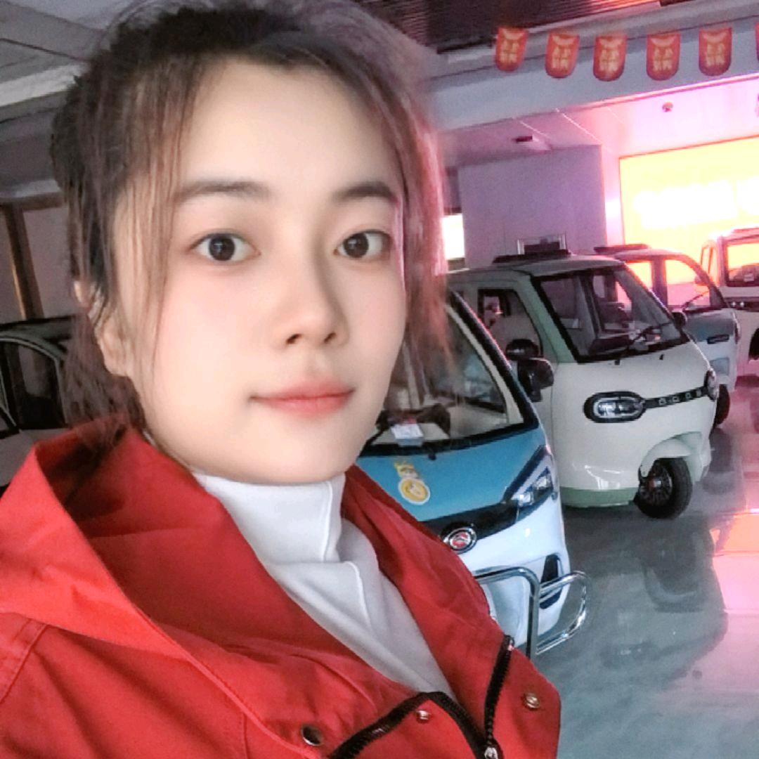 宝岛电动新能源车  鲁客篷车