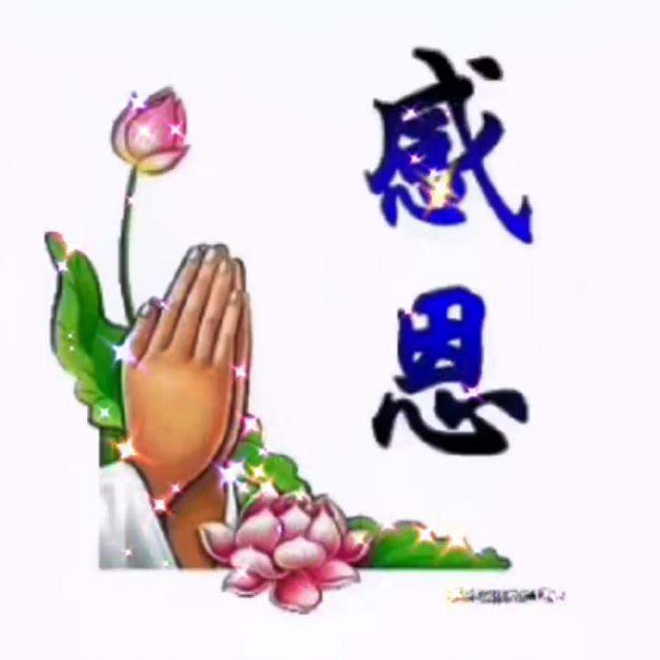鹏鹏生活云集