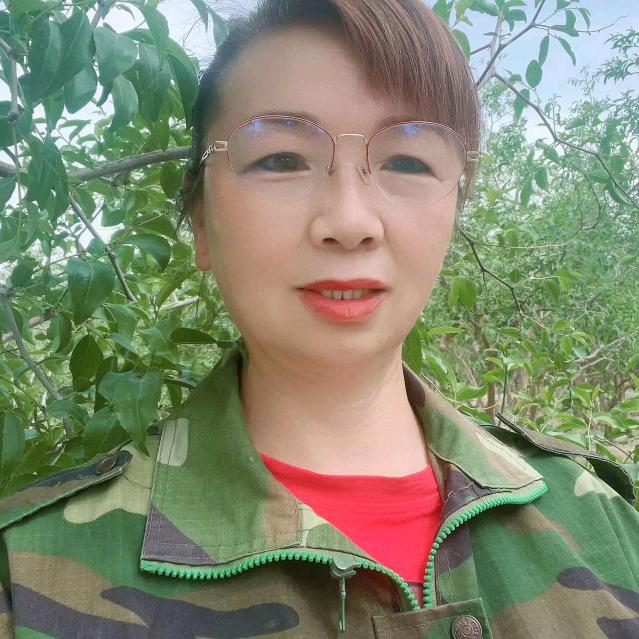 兰姐家的枣园