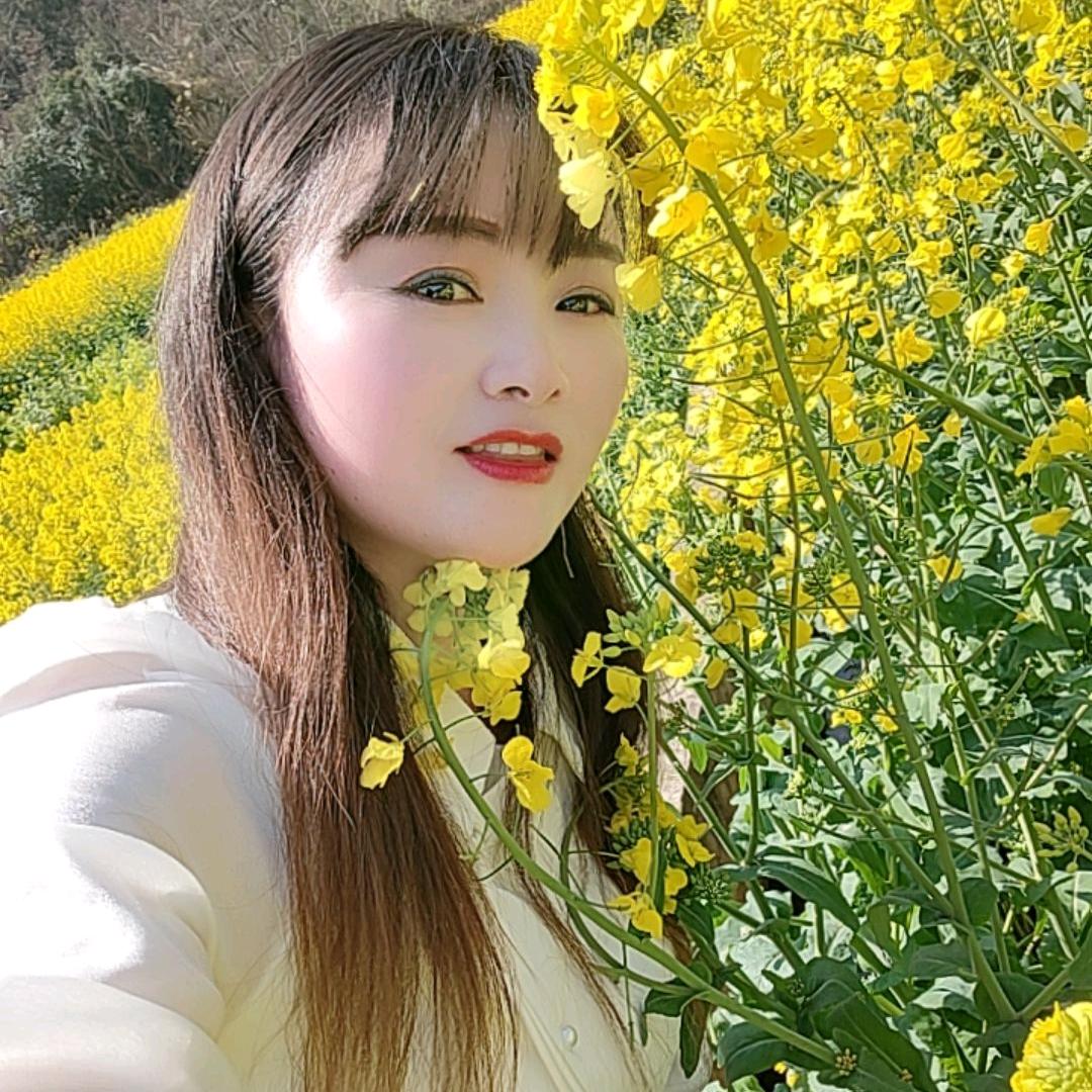 随遇而安