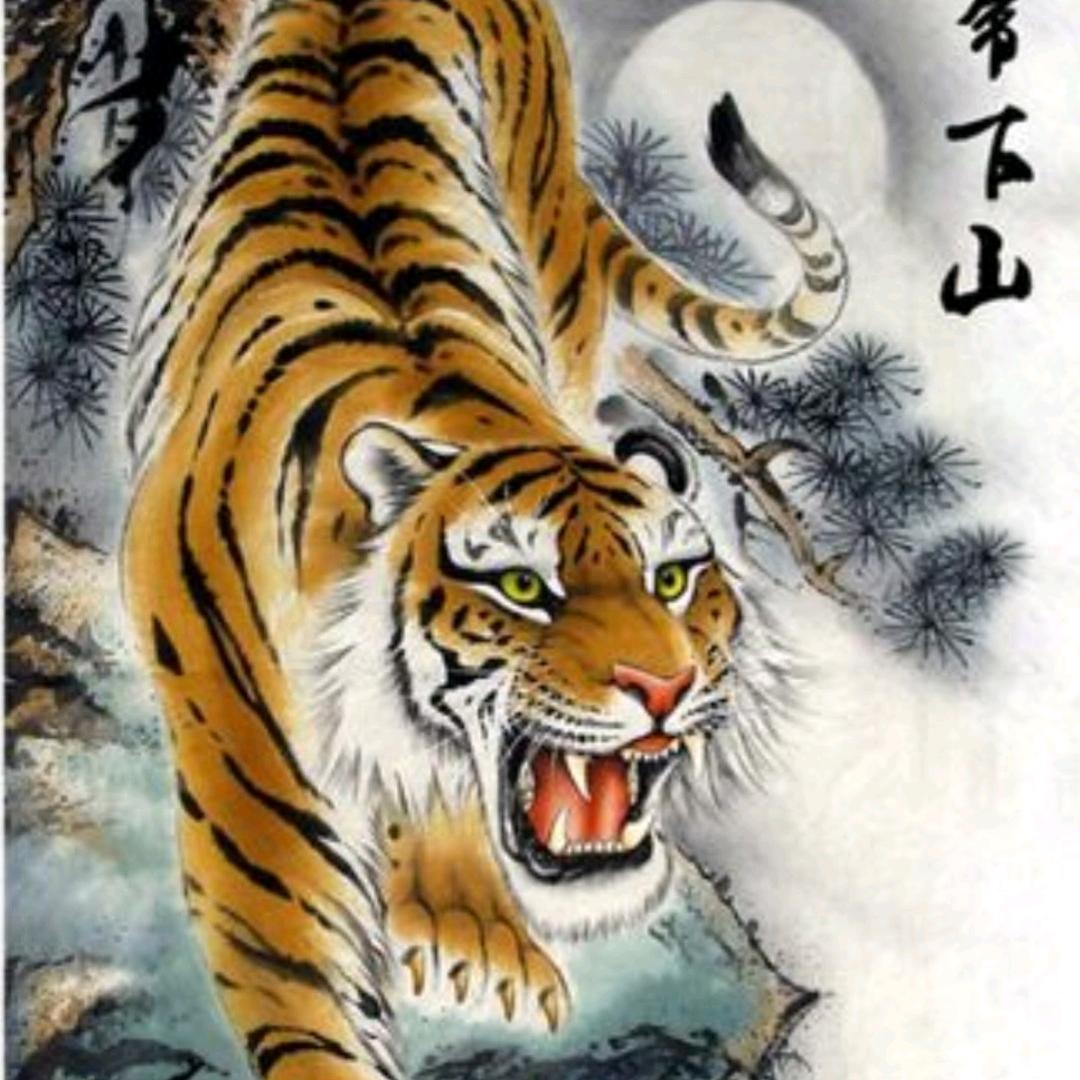 老虎🐯🇨🇳
