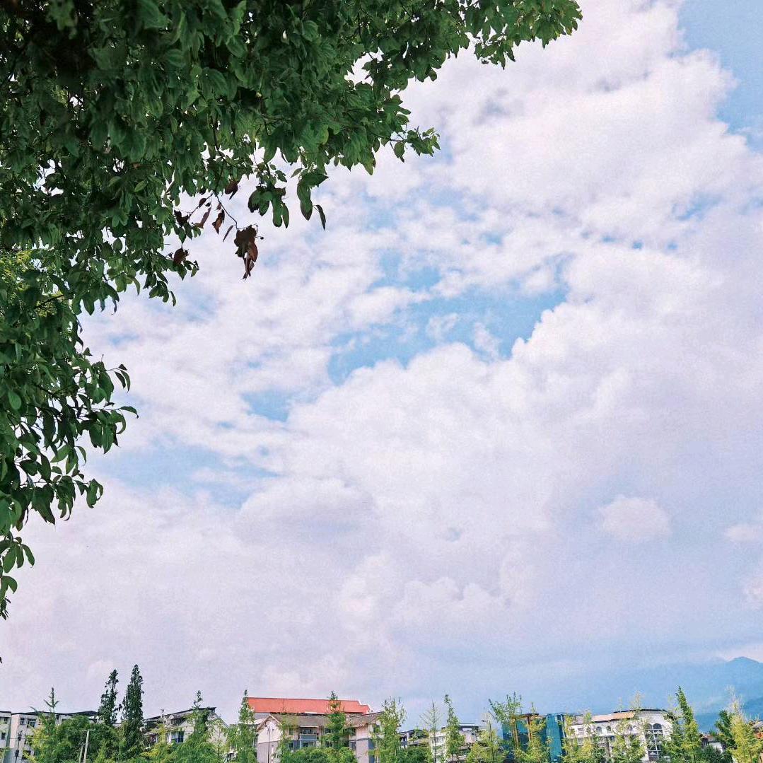76080721616