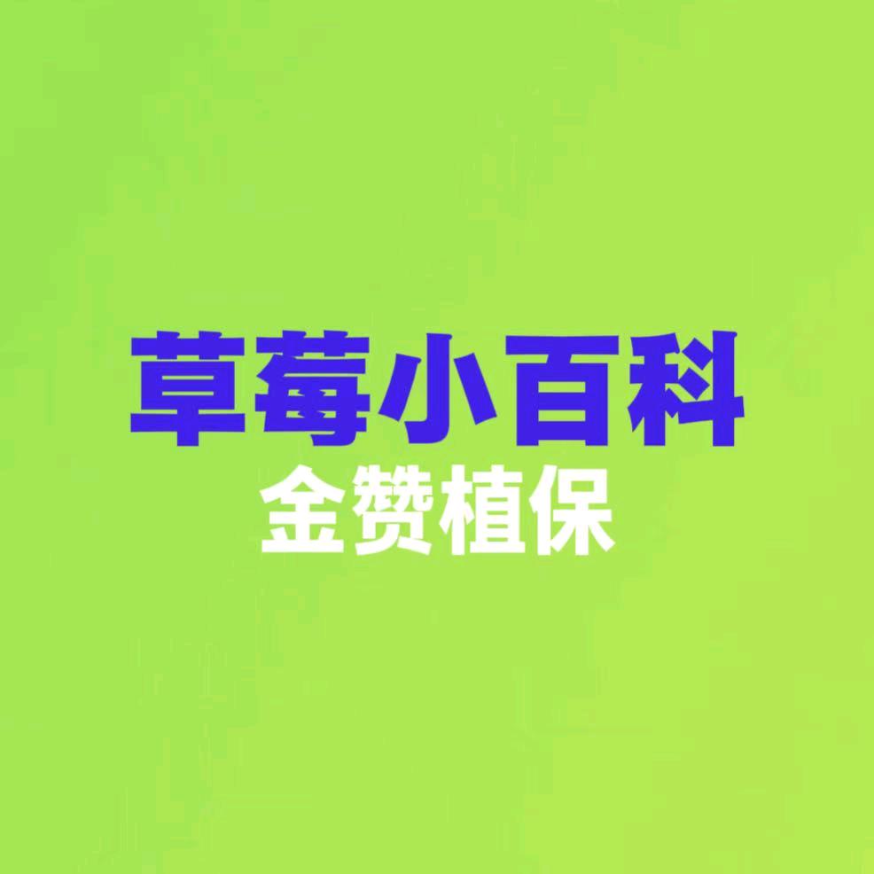 草莓小百科