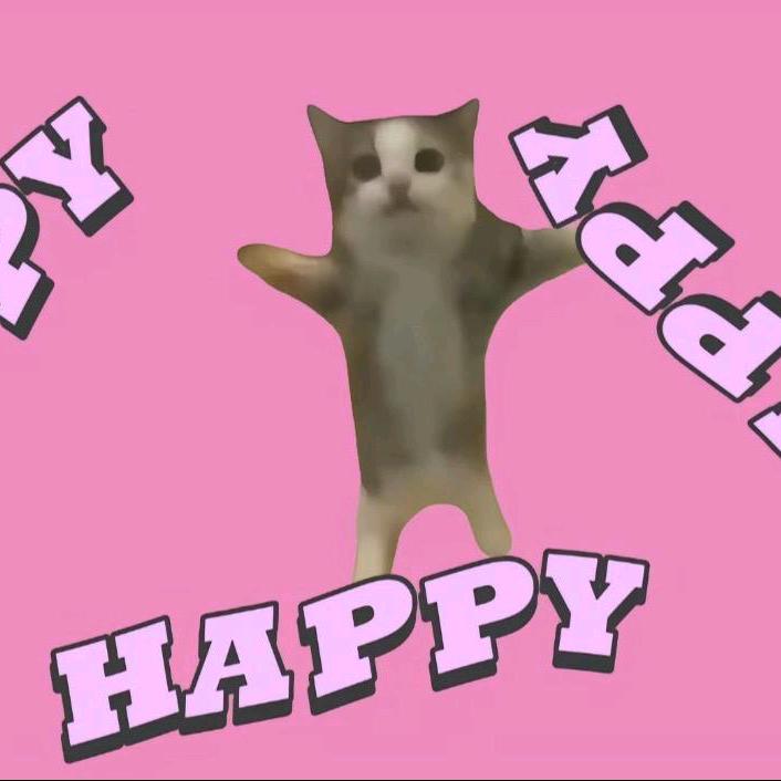 猫meme小新.