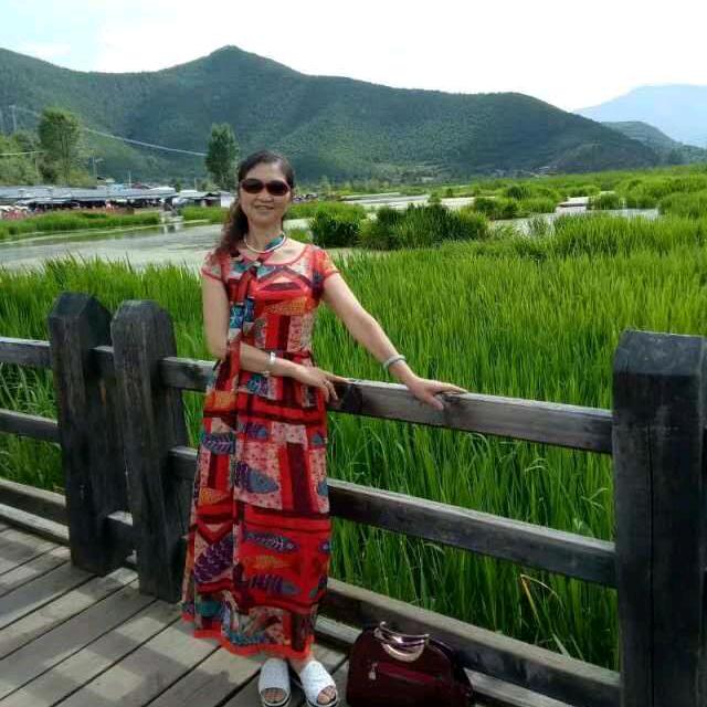 杨总