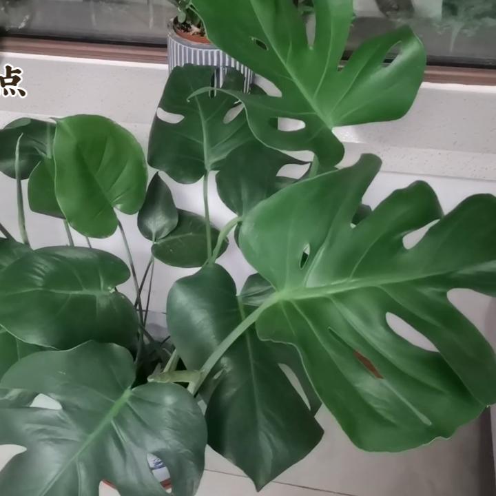 爱生活01