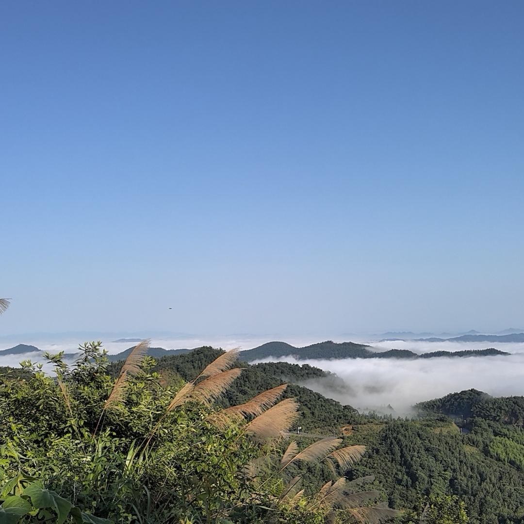 龙春峰