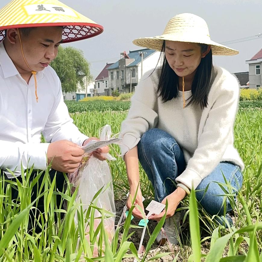 助农吧小宋